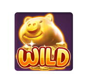 wild หมูทองคำ