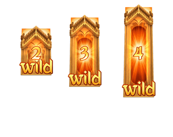 wild กำลังมา 3