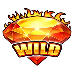 สัญลักษณ์ wild