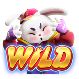 wild เกมสล็อตพีจี ฟอร์จูนแรบบิท