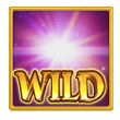 สัญลักษณ์ wild2