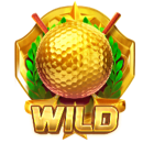 wild - Super Golf Drive