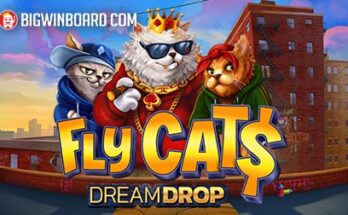 Fly Cats Dream Drop